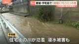 愛媛・宇和島市では1時間に70.5ミリの非常に激しい雨を観測　川が氾濫し浸水の被害も|TBS NEWS DIG