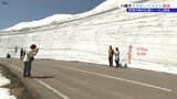 今年の雪の壁は最高で6メートル 国内最長の雪の回廊を誇るアスピーテラインが開通 待望の春の行楽シーズン到来を告げる通行再開|TBS NEWS DIG