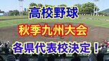 【高校野球】センバツ甲子園をかけた秋季九州大会 代表出そろう！ 大阪桐蔭・履正社、明徳義塾も近畿大会・四国大会それぞれ出場　|　熊本のニュース｜RKK NEWS｜RKK熊本放送