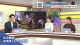 「氷河期展」来場者が10万人突破 ネアンデルタール人などの頭骨が日本初展示 福岡・九州国立博物館|TBS NEWS DIG