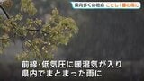 広島で「今年一番の雨」各地で記録 24時間で80ミリ超も 夕方にかけ落雷・突風に警戒|TBS NEWS DIG