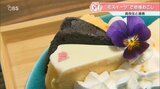 高校生がお店と連携して取り組む 食べられる花のスイーツ | 大分のニュース|OBS NEWS|大分放送