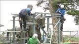「間近で違う角度から見られた」 初めて地上に下りた“騎馬像” 地震被害修復で搬送準備続く|TBS NEWS DIG