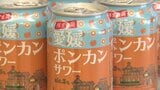 じゃこ天との相性ばっちり！「愛媛ポンカンサワー」イオングループから数量限定で発売 ことしはカンボジアでも 愛媛県庁で魅力報告　|　愛媛のニュース - Nスタえひめ｜あいテレビは6チャンネル