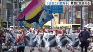 「東京のスーパーよさこいよりも熱気がある感じ」四万十市で「よさこい四万十2026」過去最多の61チーム参加【高知】 | 高知のニュース・天気|KUTV NEWS | KUTVテレビ高知