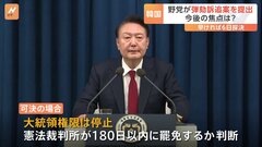 韓国・ユン大統領「国政がまひしている」 非常戒厳の宣言理由を説明　弾劾訴追案の採決は早ければ12月6日に 与党から造反出れば可決の可能性も| TBS CROSS DIG with Bloomberg