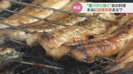 焼肉・うなぎは間違いだった？夏バテに本当に効くメニューは意外にも…|TBS NEWS DIG
