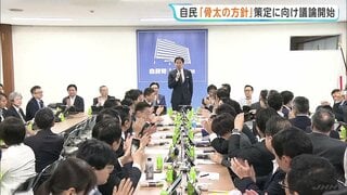 「骨太の方針」に向け自民党が議論スタート　物価高や人件費上昇への対応求める意見相次ぐ| TBS CROSS DIG with Bloomberg