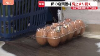卵の卸売価格 5か月連続で前年を下回る　一方、小売価格は2か月連続で最高値水準に 高値はいつまで･･･| TBS CROSS DIG with Bloomberg