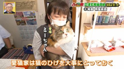 老舗の箱屋がつくった「猫のひげ入れ」 会津木綿を使った美しく丈夫な