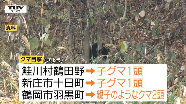 身近に迫り続けるクマの脅威　きょうは高校や団地の近くなどでクマ出没　親子とみられる2頭の目撃情報も（山形）|TBS NEWS DIG