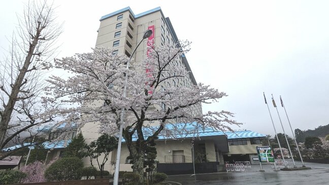 花巻温泉園内の500本のサクラ　まもなく満開　岩手|TBS NEWS DIG