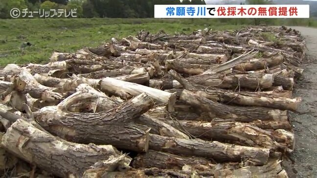 無償提供の薪が人気!河川敷で伐採した樹木の処分費用の削減そして資源の有効活用 富山|TBS NEWS DIG