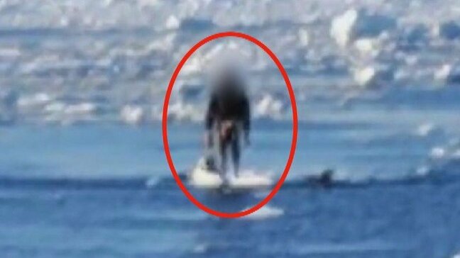 【流氷に乗るのやめて!】死に至るリスク専門家が警鐘「何千本もの針が刺さったような…」水難学会・斎藤秀俊理事「泳いで戻れば一巻のおしまい」|TBS NEWS DIG