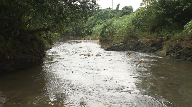比謝川から取水再開　去年11月の本島北部豪雨によるポンプ場故障などが影響　PFASは「活性炭ろ過」で低減　|TBS NEWS DIG