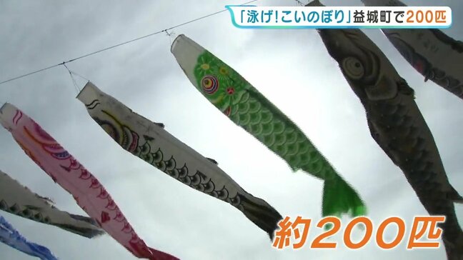 悠々と泳ぐ約200匹の「こいのぼり」熊本地震から10年 復興への思いも込めて 熊本・益城町|TBS NEWS DIG