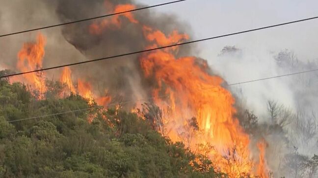 「教訓を風化させない」岡山県南部で発生した大規模山林火災から1年　消防が火災現場付近で訓練|TBS NEWS DIG