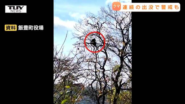 【動画】クマ出没も行方くらまし捕獲ならず...きょうは飯豊町、新庄市などでクマ目撃 連日クマ目撃相次ぐ(山形)|TBS NEWS DIG