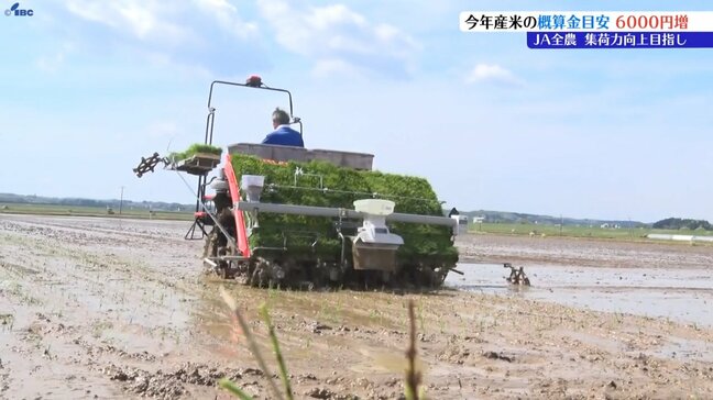 2025年のコメの概算金、2024年の当初額より6000円引き上げられることに 岩手|TBS NEWS DIG