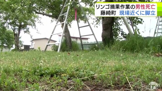リンゴ畑に仰向けで倒れていた72歳の男性 病院に運ばれるもその後死亡 近くには「脚立」 当時男性は摘果作業中 青森県藤崎町|TBS NEWS DIG