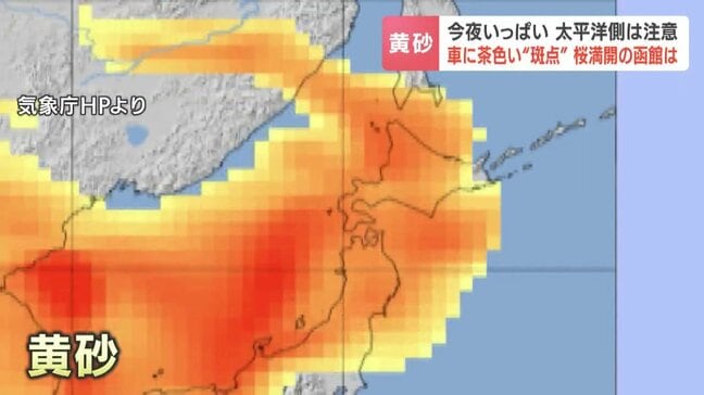 【黄砂】北海道でも…車への付着やアレルギーに注意 中古車販売店も大忙し「半日かけて…」太平洋側は今夜いっぱい黄砂飛来か|TBS NEWS DIG