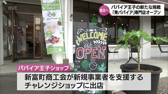 「パパイア王子」の挑戦　青パパイア専門店オープン　その名も「パパイア王子ショップ」　|　MRTニュース ｜ ＭＲＴ宮崎放送