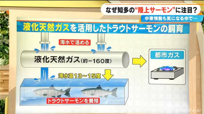 東海地方で相次ぐサーモン養殖 ガス製造過程で捨てられる“冷たい海水”を有効活用 中東情勢の影響受ける可能性は？　|　名古屋・愛知・岐阜・三重のニュース【CBC news】 | CBC web