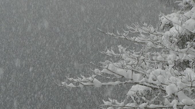 記録的大雪から3日、高知県の停電全て復旧…最大約5350世帯、延べ約22200世帯（26日午後6時17分）　|　高知のニュース・天気｜KUTV NEWS | KUTVテレビ高知