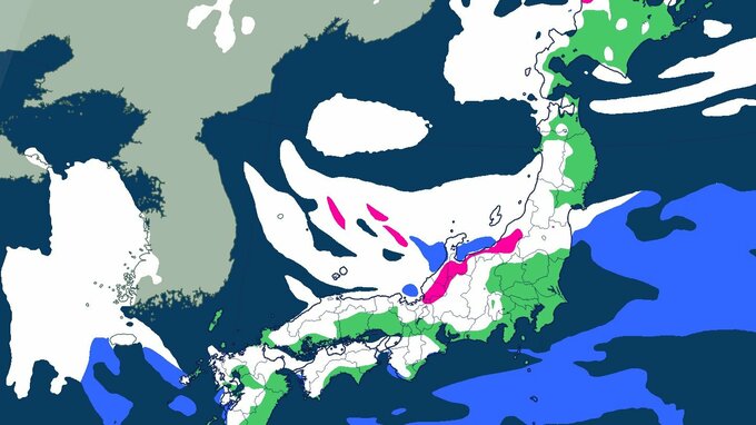【大雪情報】山口、福岡、佐賀、長崎、大分、熊本で7日明け方から平地で大雪のおそれ　最大15センチの降雪予想【雪のシミュレーション】　|　大分のニュース｜OBS NEWS｜大分放送