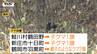 身近に迫り続けるクマの脅威　きょうは高校や団地の近くなどでクマ出没　親子とみられる2頭の目撃情報も（山形）　|　山形のニュース│TUYテレビユー山形