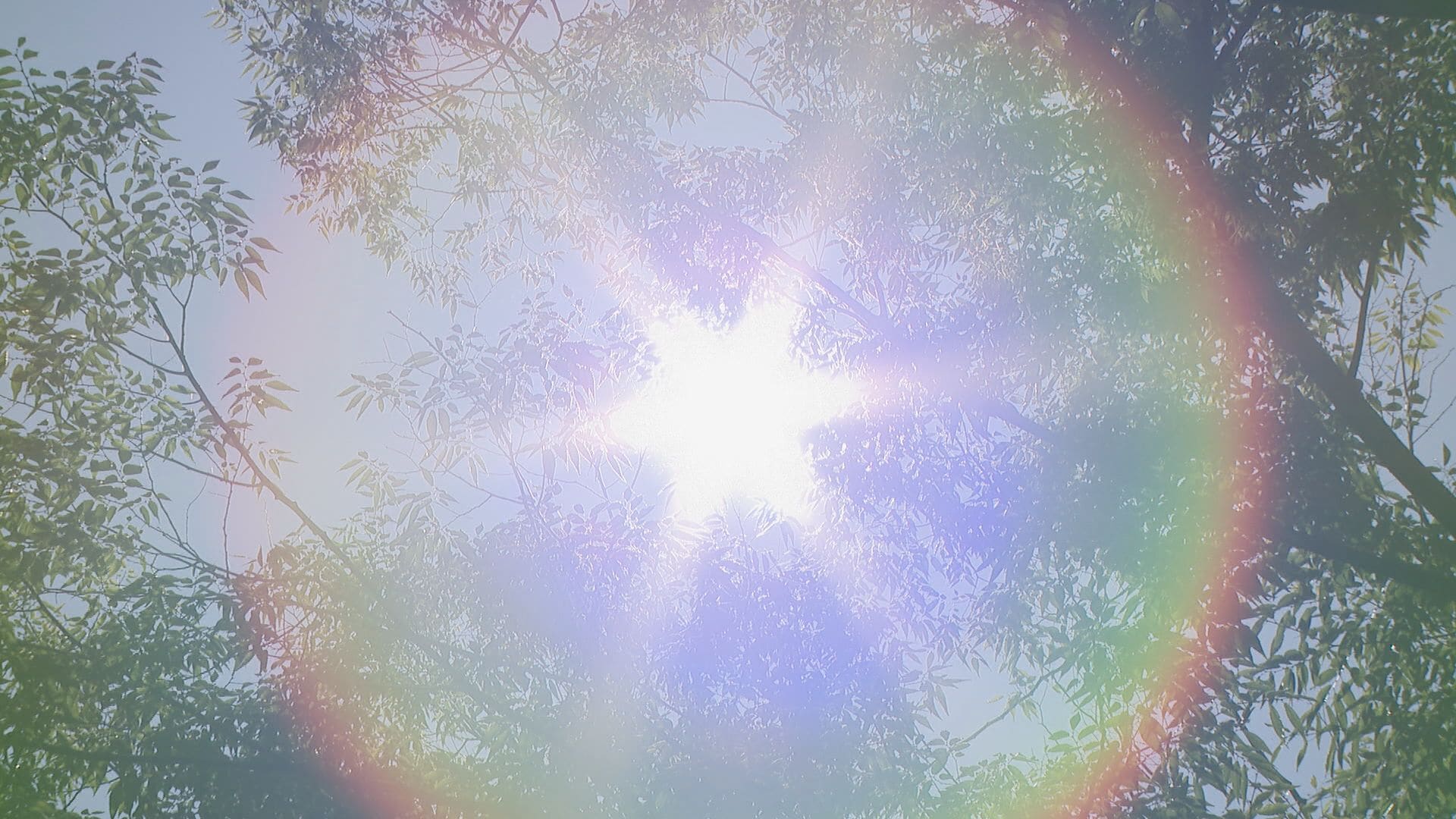 各地で｢食中毒警報｣発表　調理器具の消毒や食品の適切な温度管理などを呼びかけ　愛知 岐阜 三重 名古屋市 岐阜市 四日市市