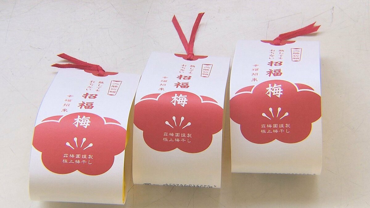 合格祈願の縁起物、落ちない梅「招福梅」 高校受験の中学生に