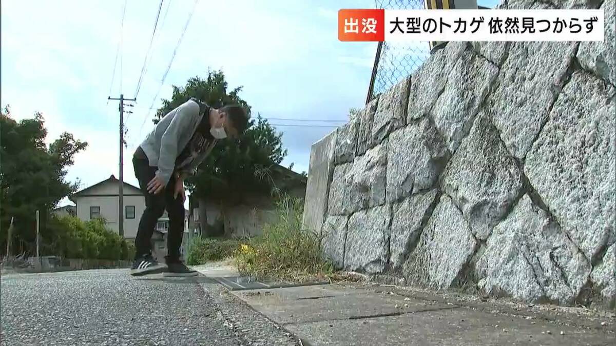 潜入探偵トカゲ　第8話　台本 hq720.jpg?sqp=-