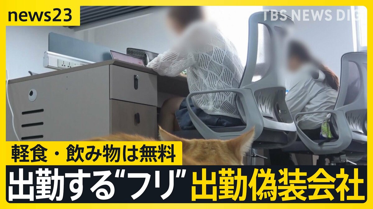 “失業バレたくない” 深刻な就職難の中国で「出勤偽装会社」が若者に人気 オフィスにはネコも…窓には『偽装出勤』の看板も【news23 ...