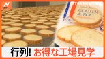 予約不要でしかもタダ!明日行ける!お得な工場見学を紹介 あの人気ラスクに明太子まで|TBS NEWS DIG