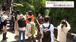 GW初日 観光地にぎわう(高千穂峡&生駒高原)|TBS NEWS DIG
