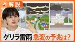 「今週は天気の急変も」“ゲリラ雷雨”に要注意! 突然の雷に対策は?外にいる時は「電線の下」に避難も有効【Nスタ解説】|TBS NEWS DIG
