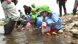 盛岡市の中心部を流れる中津川で園児がヤマメの稚魚放流|TBS NEWS DIG