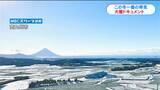 “最強寒波”2023年1月 鹿児島の大雪ドキュメントまとめ|TBS NEWS DIG
