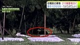 クマの人的被害のあった弘前市でモモの枝折られる被害 先月にはクマも目撃 大和沢沢田地区 | 青森のニュース│ATV NEWS│青森テレビ