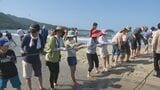 「いつもより美味しい」子供たちが地引き網に挑戦! アジ、キス、サワラ・・・釣った魚は約300キロ 福岡県糸島市|TBS NEWS DIG