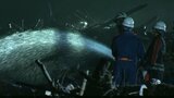 レジャー施設 住吉浜リゾートパークの廃材置き場で火災 けが人なし | 大分のニュース|OBS NEWS|大分放送