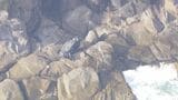 引き続き海には近づかないで 三重県南部と愛知県外海に発表の津波警報は津波注意報に | 名古屋・愛知・岐阜・三重のニュース【CBC news】 | CBC web