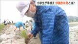 「農薬と化学肥料を一切使わない“伊弥彦米 零”で循環型農業を体験」小学生がコシヒカリの田植えに挑戦 新潟県弥彦村|TBS NEWS DIG