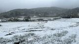 22日夕方にかけて大雪に注意・警戒 13地点で今季最低気温 | 長崎のニュース | 天気 | NBC長崎放送
