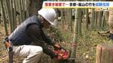 「地域が大切にしている竹だとリスペクトを持って」京都・嵐山「竹林の小径」　落書きが相次ぎ２５本の竹を伐採　１０月には約３５０本の竹に落書きが確認|TBS NEWS DIG