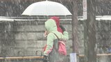 日曜午後から月曜に大雪のところも 東部・富士五湖と中・西部の山地10㎝~20㎝ 交通障害などに注意 山梨 | 山梨のニュース | UTYテレビ山梨