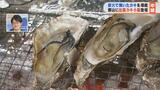 「ジュージュー!」炭火で焼いたカキを堪能 郡山に出張カキ小屋登場|TBS NEWS DIG