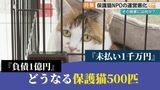 『負債1億 、未払い1千万』経営悪化の“猫保護NPO法人” その背景と500匹の保護猫の行方はー|TBS NEWS DIG