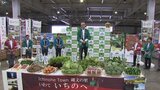 JA新いわて組合長と一戸町長がレタスなど野菜をトップセールス 盛岡中央卸売市場|TBS NEWS DIG